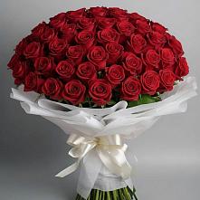 Букет 101 Красная роза Блэк Мэджик в Долаково