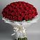 Букет 101 Красная роза Блэк Мэджик в Долаково