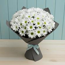 Букет цветов из:  Хризантемы #REPLACE_PRED# Долаково