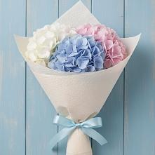 Букет цветов из:  Гортензия в Долаково