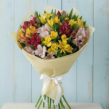 Букет цветов из:  Альстромерии #REPLACE_PRED# Долаково