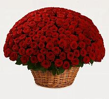 Премиум букет из: Розы в Долаково