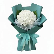 Букет цветов из:  Гортензия в Долаково